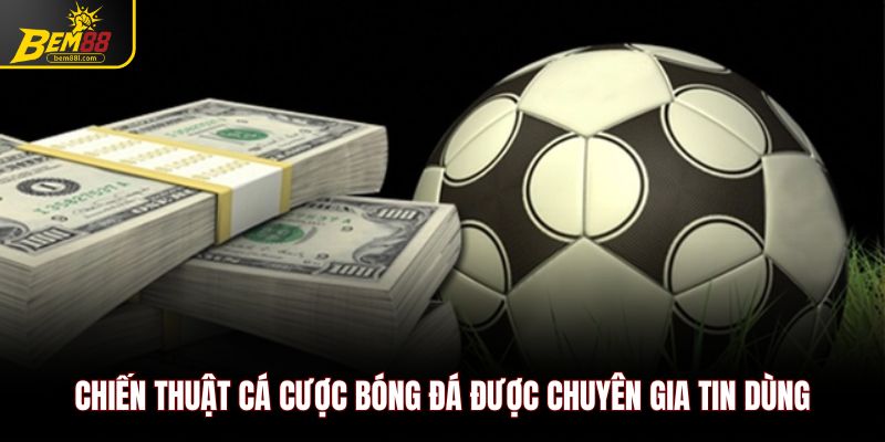 Chiến thuật cá cược bóng đá được chuyên gia tin dùng