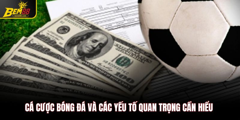 Cá cược bóng đá và các yếu tố quan trọng cần hiểu