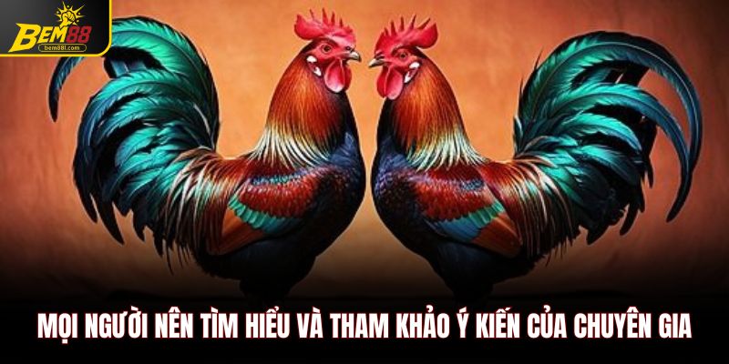 Mọi người nên tìm hiểu và tham khảo ý kiến của chuyên gia