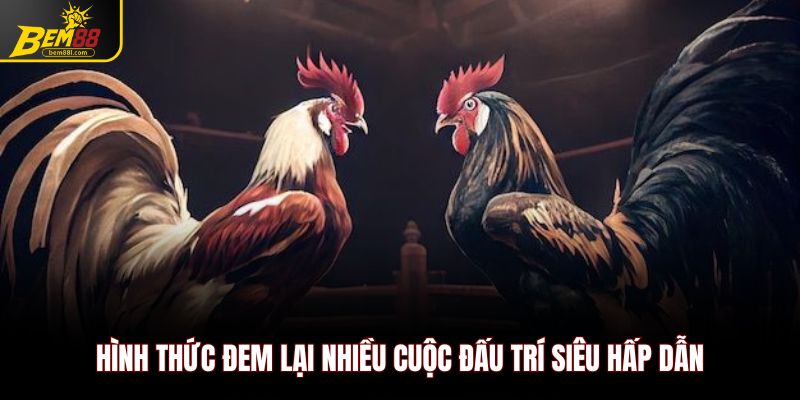 Hình thức đem lại nhiều cuộc đấu trí siêu hấp dẫn